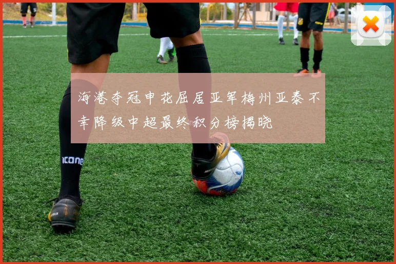 海港夺冠申花屈居亚军梅州亚泰不幸降级中超最终积分榜揭晓