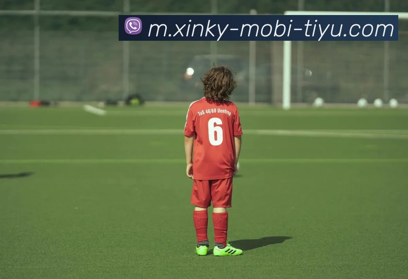 开元体育APP 封面图